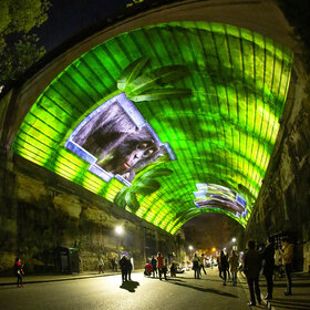 Проекция на свод тоннеля в рамках фестиваля Vivid в Сиднее