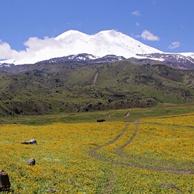 ����. ����������. ������� �� ������ ���������.