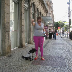 ����. ��������. ������� � ��������.