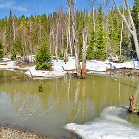 ����. �������. ���� �������