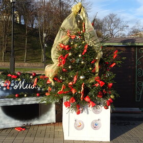 ����. ������