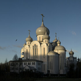 ����. �����. 