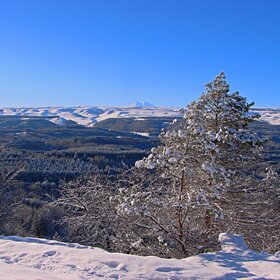 ����. �����������. ����������.