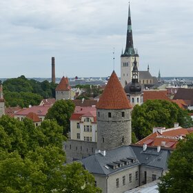 Таллинская панорама