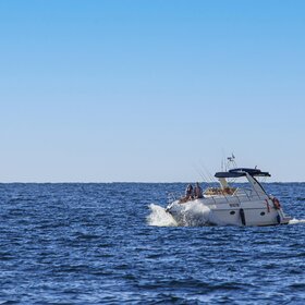 ����. �������� �� ������� ����