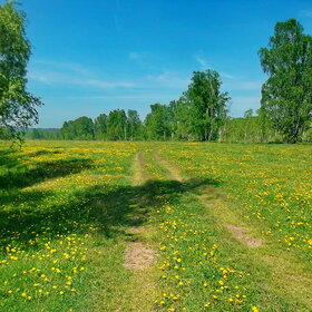 ����. ������ �� ���������� �����. ������ �� ���������� �����