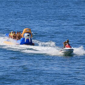 ����. ������ ���������� �����