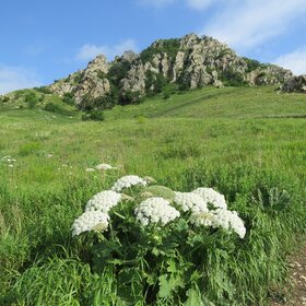 Гора Шелудивая