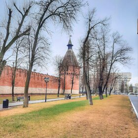 Башни Тульского кремля