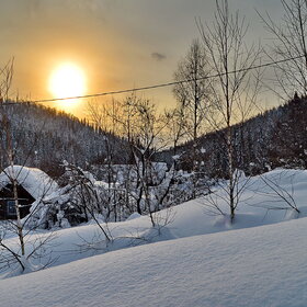 ����. �������. �������. ����