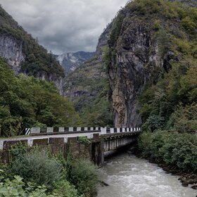 ���� ����� ���� ����