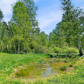 ����. ���������� ������. ���������� ������