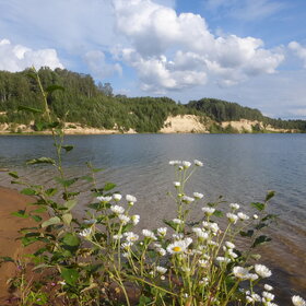 ������ ������