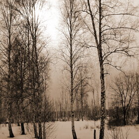 ����. �������. ��������� ������