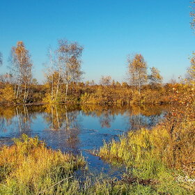 ����. 280918. ����� ��  ������