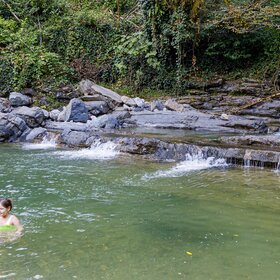 ����. ����. ���� �����