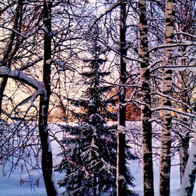 ����. ������. ������������ - ����