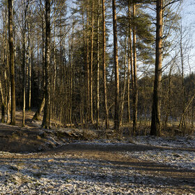 � �������� ���������.