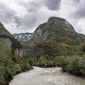 ����. ���� ����. �������. ������� ���.