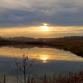 ����. ����������. �.�������, ����