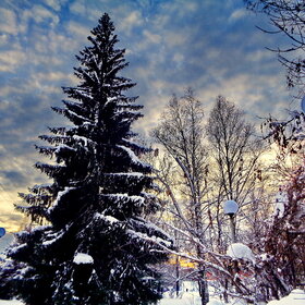 ����. ������������