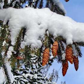 ����. ����������. ����� � �������