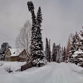 ����. ����������