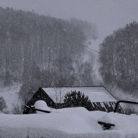 ����. ������