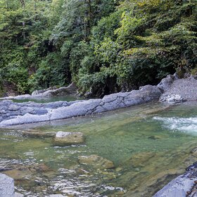 ����. ������ ��������. ����, ���� �����